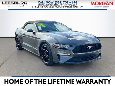 Used 2018 Ford Mustang Premium w/ Equipment Group 201A image 1