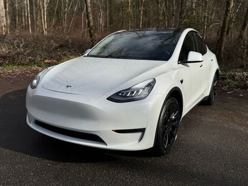 Used 2020 Tesla Model Y Long Range image 1