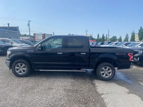 Used 2020 Ford F150 XLT w/ Equipment Group 302A Luxury image 3