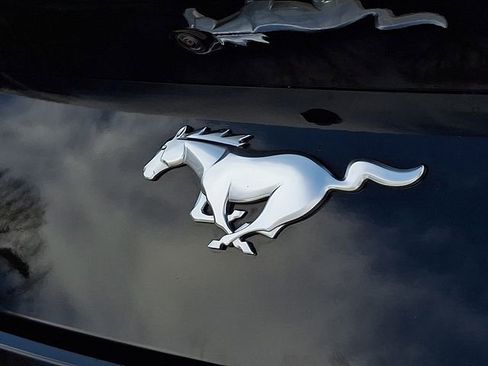 Used 2025 Ford Mustang Premium image 29