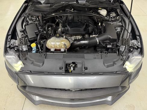 Used 2019 Ford Mustang Coupe w/ Ecoboost Performance Package RWD image 7