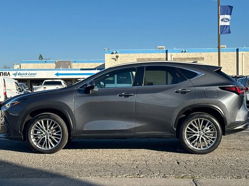 Used 2025 Lexus NX 300h AWD w/ Luxury Package image 5