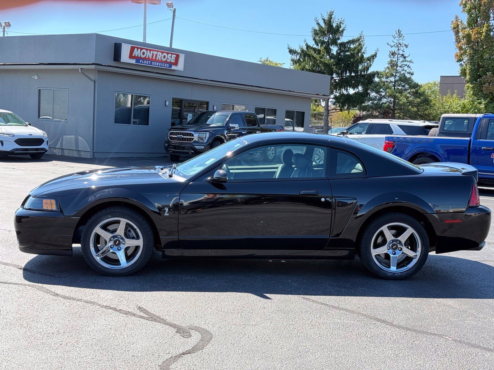 Used 2004 Ford Mustang Cobra RWD image 6