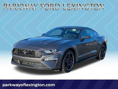 Used 2022 Ford Mustang Coupe w/ Equipment Group 101A