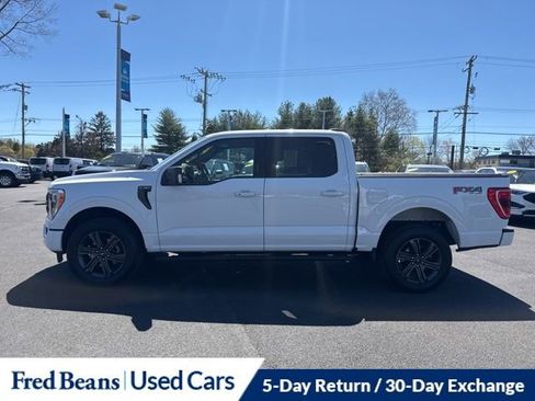 Certified 2023 Ford F150 XLT w/ Equipment Group 302A High image 4