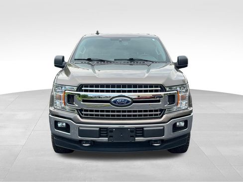 Used 2019 Ford F150 XLT w/ Equipment Group 302A Luxury AWD/4WD image 6