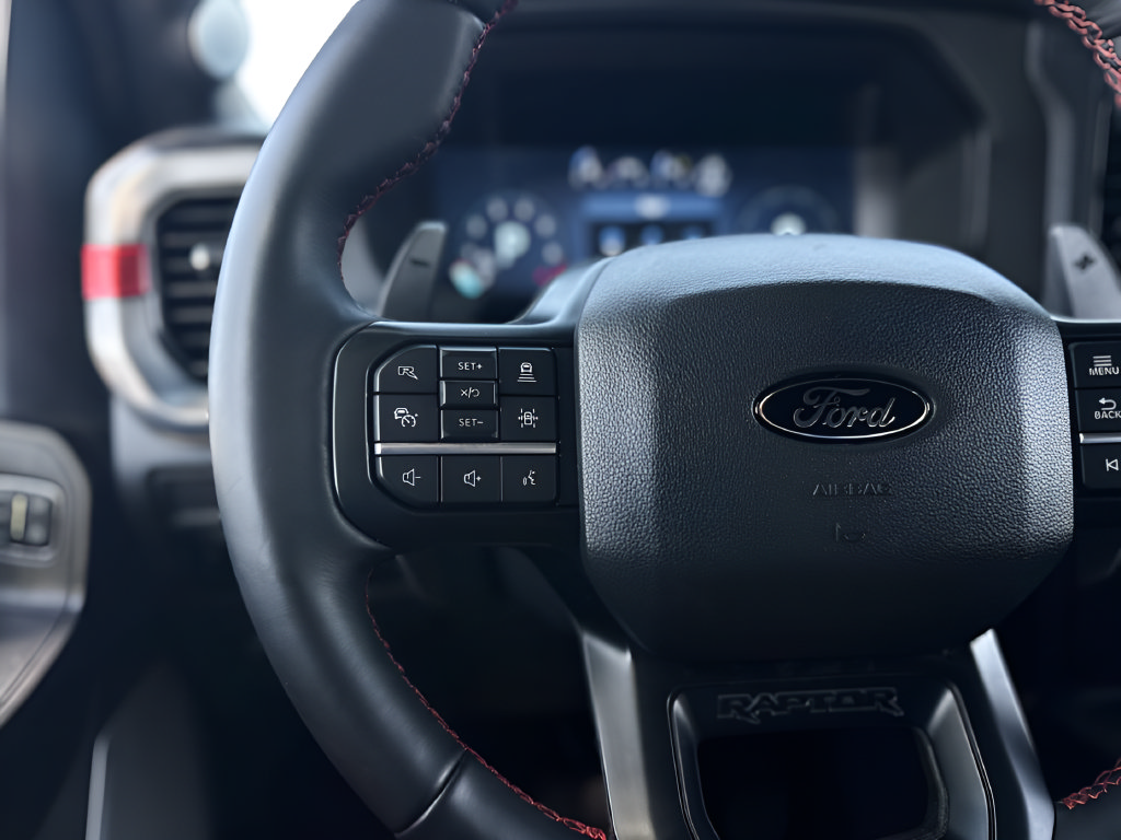 Used 2025 Ford F150 Raptor AWD/4WD image 14