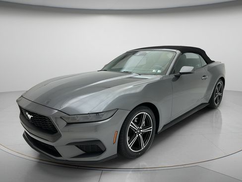 Used 2025 Ford Mustang Premium RWD image 3