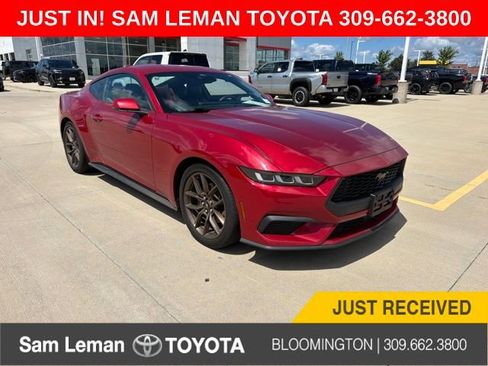 Used 2024 Ford Mustang Premium RWD image 1