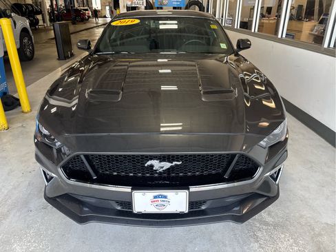 Certified 2019 Ford Mustang GT RWD image 3