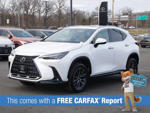 Used 2024 Lexus NX 350 AWD image 2