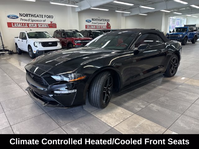 Used 2018 Ford Mustang Premium w/ Equipment Group 201A RWD image 16