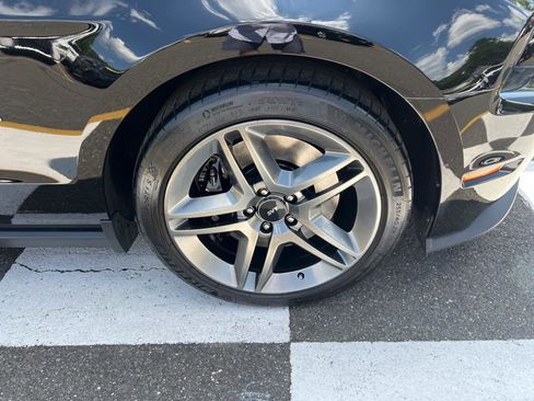 Used 2010 Ford Mustang Shelby GT500 image 13