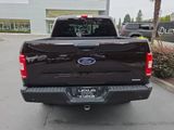 Used 2019 Ford F150 XLT w/ Equipment Group 302A Luxury image 6