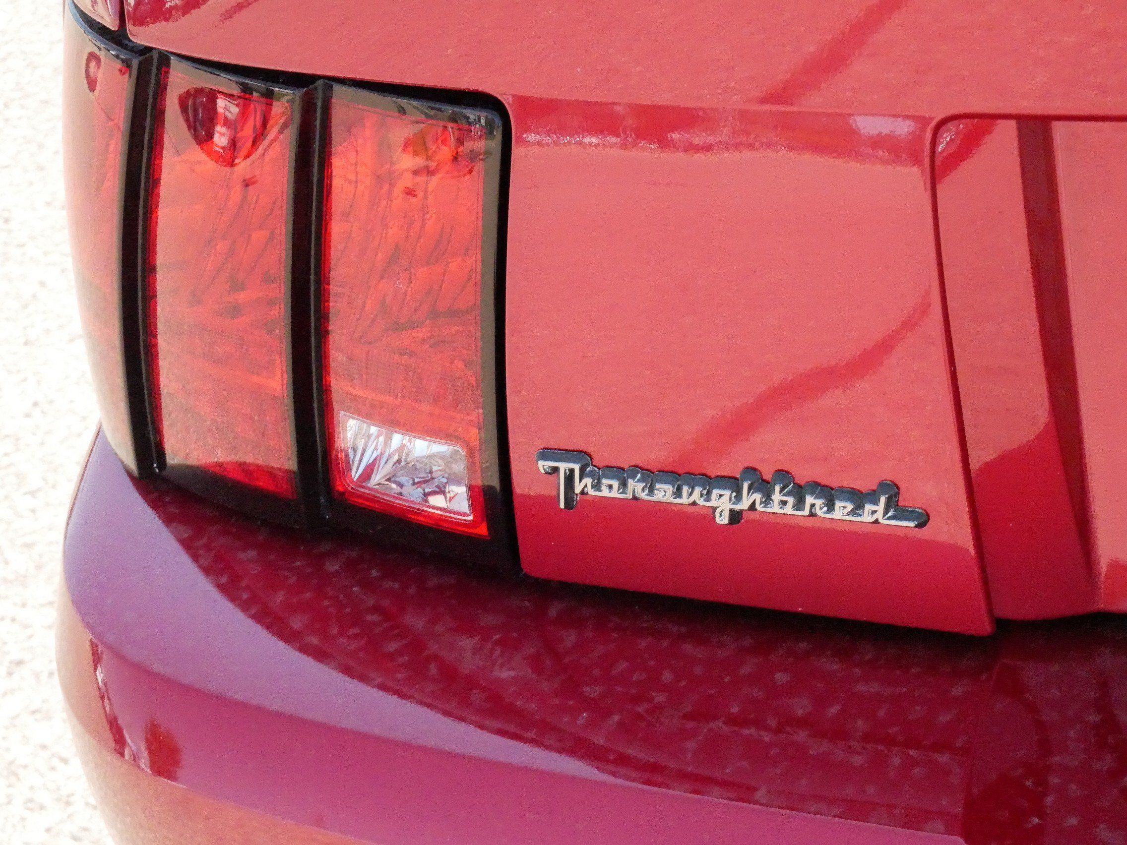 Used 2002 Ford Mustang Convertible RWD image 15