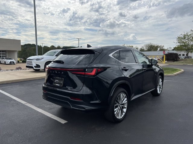 Certified 2025 Lexus NX 350h AWD w/ Cold Area Package image 3