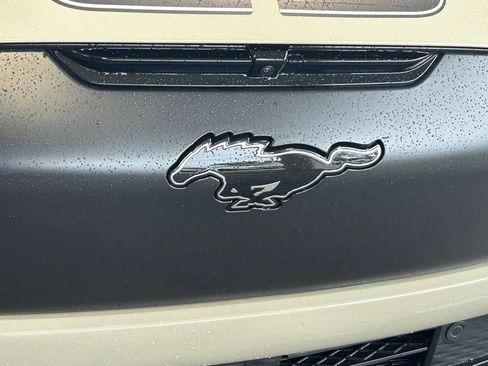 New 2025 Ford Mustang Mach-E GT w/ Interior Protection Package AWD/4WD image 18