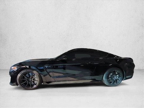 Used 2016 Ford Mustang Shelby GT350 w/ Track Package image 9