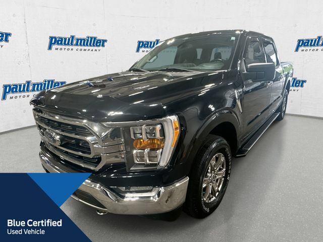 Used 2021 Ford F150 XLT w/ Equipment Group 302A High AWD/4WD image 1