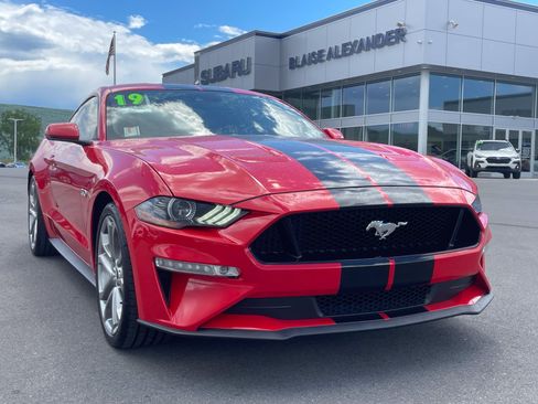 Used 2019 Ford Mustang GT Premium w/ Equipment Group 401A RWD image 1