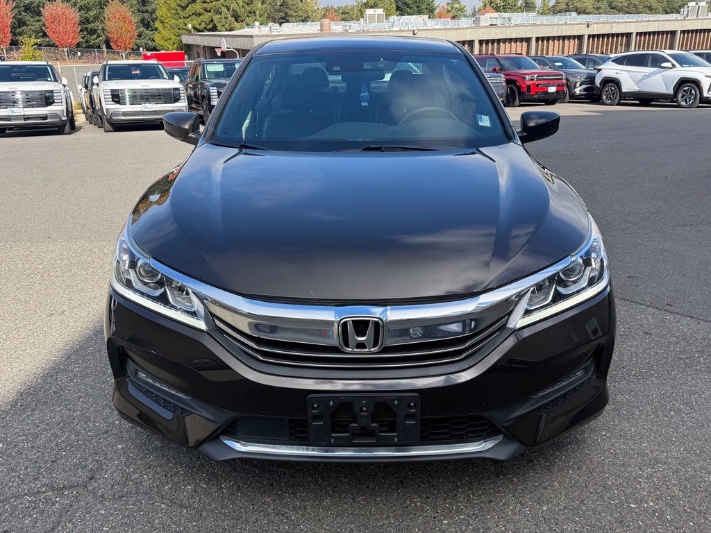 Used 2016 Honda Accord Sport image 3