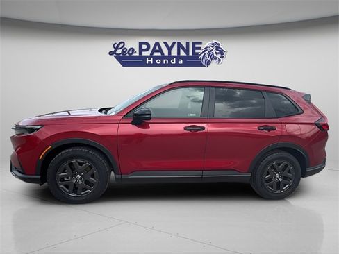 Certified 2026 Honda CR-V TrailSport image 3