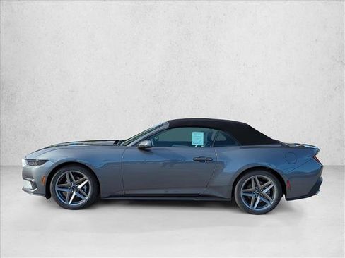 New 2026 Ford Mustang Premium w/ Anti-Theft Package image 5