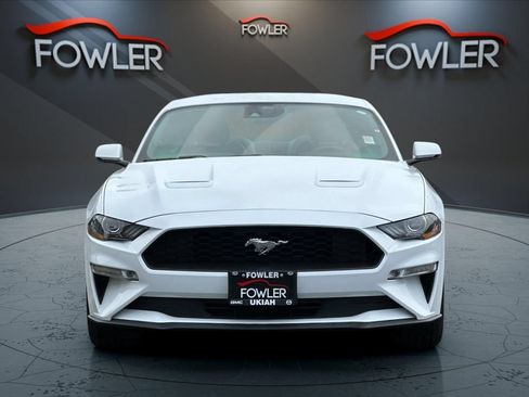 Used 2021 Ford Mustang Premium w/ Equipment Group 201A RWD image 8