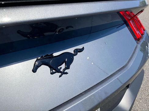 New 2026 Ford Mustang Coupe image 15