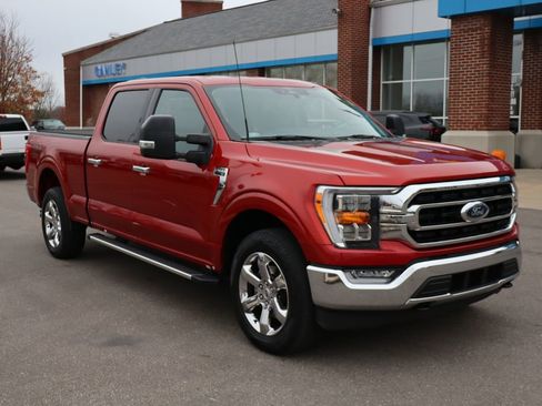 Used 2023 Ford F150 XLT w/ Equipment Group 302A High image 5