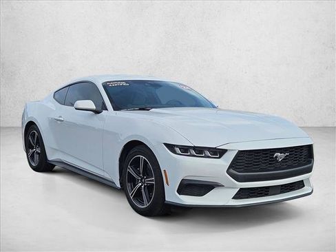 Used 2024 Ford Mustang EcoBoost image 3