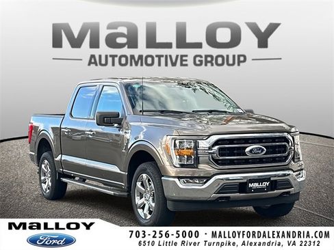 Used 2023 Ford F150 XLT w/ Equipment Group 302A High image 1