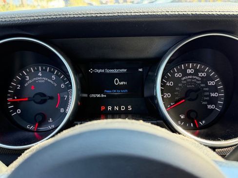 Used 2019 Ford Mustang Coupe w/ Equipment Group 101A image 16