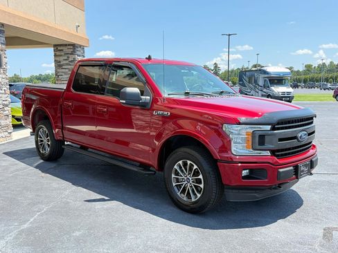 Used 2019 Ford F150 XLT w/ Equipment Group 302A Luxury AWD/4WD image 6