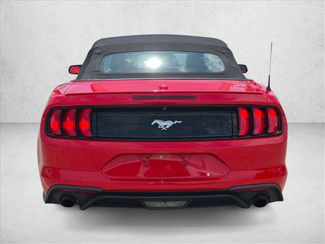 Used 2019 Ford Mustang Premium RWD image 6