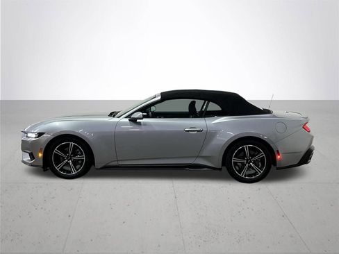 Used 2024 Ford Mustang Premium image 14