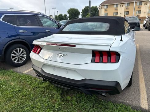 Used 2024 Ford Mustang Premium RWD image 4
