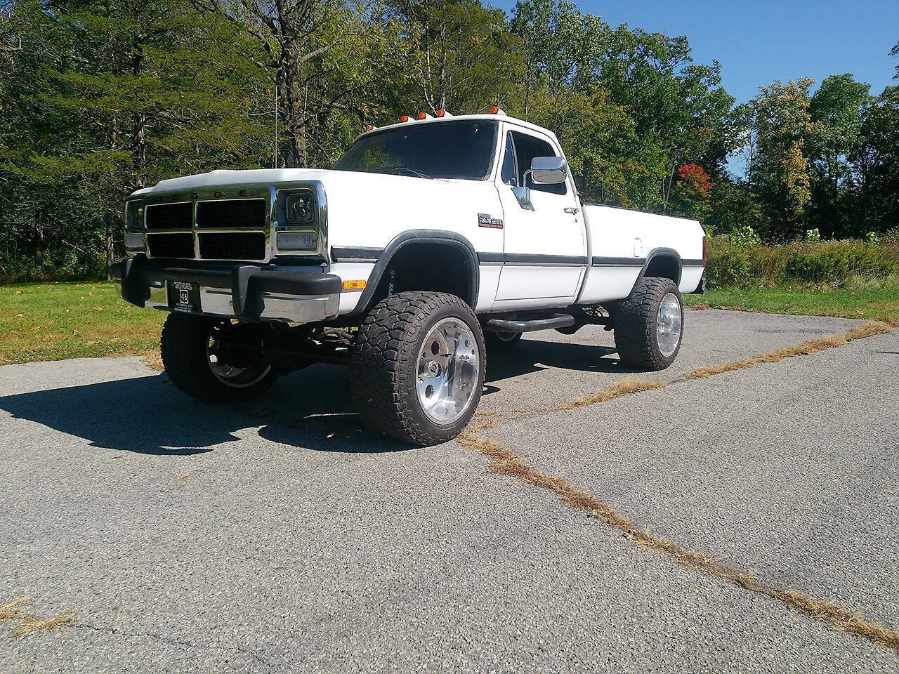 Used 1993 Dodge D/W Truck 250 AWD/4WD image 1