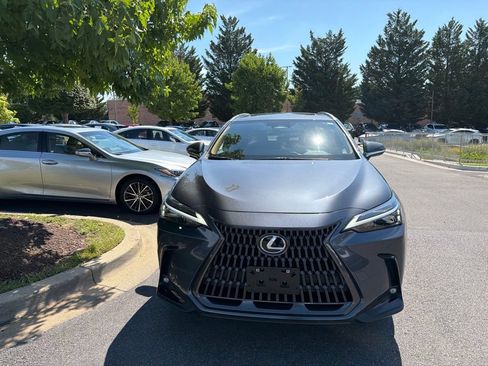Used 2025 Lexus NX 350h AWD w/ Cold Area Package image 4
