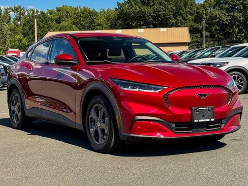 Used 2021 Ford Mustang Mach-E Select w/ Comfort/Technology Package AWD/4WD image 1