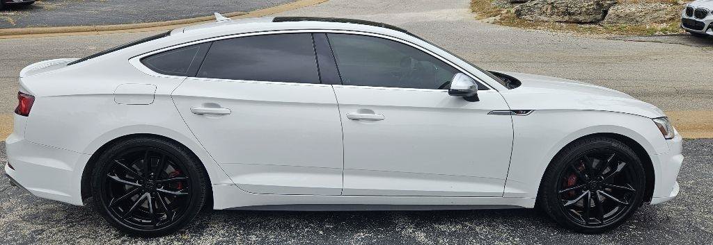 Used 2019 Audi S5 Prestige AWD/4WD image 5