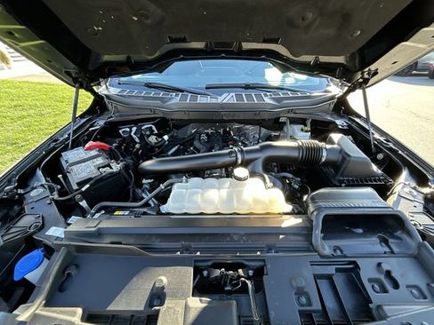 Used 2025 Ford F150 XLT w/ Equipment Group 301A Standard AWD/4WD image 14