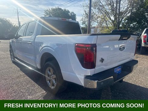 Used 2024 Ford F150 XLT w/ Mobile Office Package RWD image 4