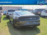 Used 2020 Ford Mustang Coupe w/ Equipment Group 101A image 4