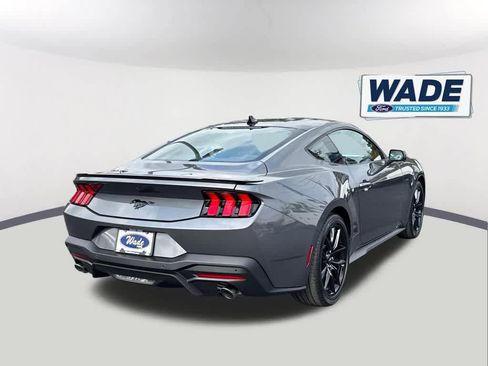 New 2026 Ford Mustang Coupe w/ Mustang Nite Pony Package RWD image 5