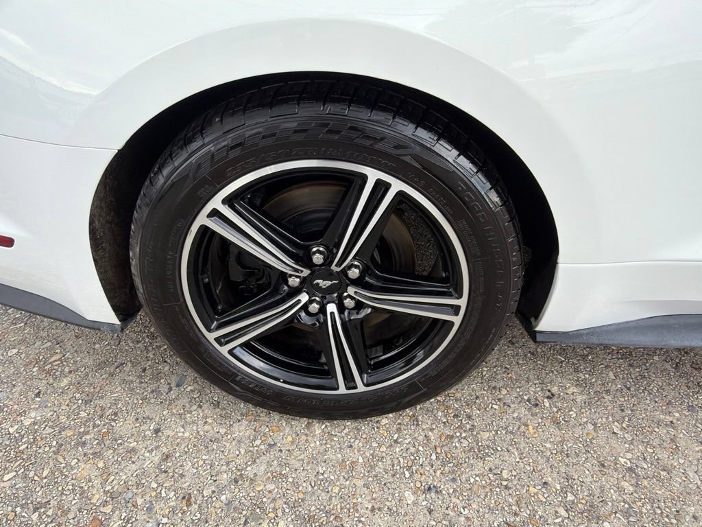 Used 2016 Ford Mustang GT Premium w/ Equipment Group 401A RWD image 16