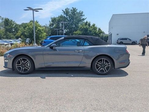 Used 2023 Ford Mustang Premium image 9