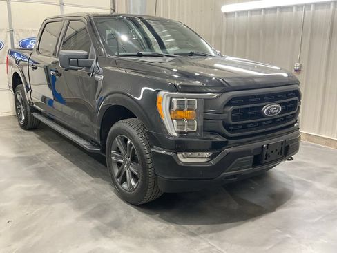 Used 2023 Ford F150 XLT w/ Equipment Group 302A High AWD/4WD image 2