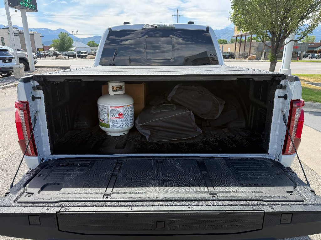 Used 2025 Ford F150 Raptor AWD/4WD image 5