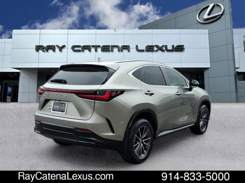 Certified 2023 Lexus NX 350 AWD image 4
